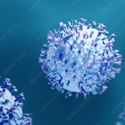 Virus Respiratoire Syncytial